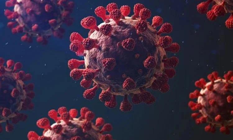 করোনায় ৫ জনের মৃত্যু, শনাক্ত ৩৬